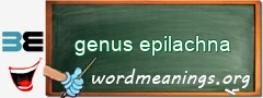 WordMeaning blackboard for genus epilachna